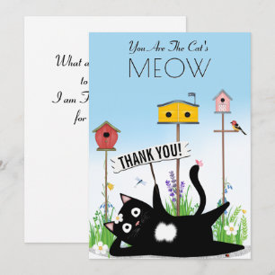 Oiseaux chats jardin merci