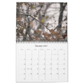 Oiseaux communs aux États-Unis Calendrier (Jan 2027)