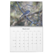 Oiseaux communs aux États-Unis Calendrier (Mar 2027)