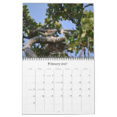 Oiseaux communs aux États-Unis Calendrier (Feb 2027)
