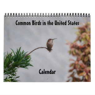 Oiseaux communs aux États-Unis Calendrier