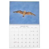 Oiseaux communs dans l'aquarelle Calendrier artist (Jan 2027)