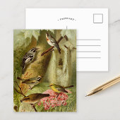 Oiseaux d'Amérique du Nord | Carte postale de Gust