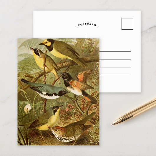 Oiseaux d'Amérique du Nord | Carte postale de Gust