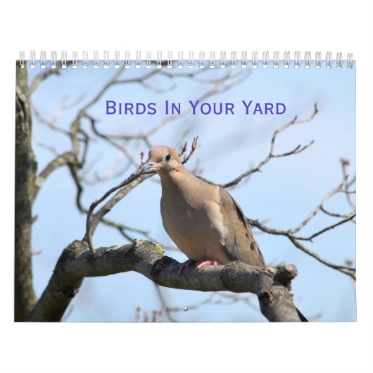 Oiseaux dans votre cour Calendrier (Protection)