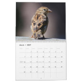 Oiseaux dans votre cour Calendrier (Mar 2027)