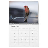 Oiseaux dans votre cour Calendrier (Jan 2027)