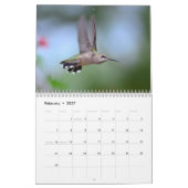 Oiseaux dans votre cour Calendrier (Feb 2027)