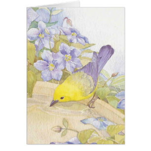 oiseaux d'aquarelle