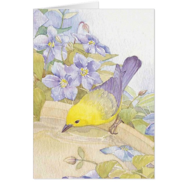 oiseaux d'aquarelle (Devant)