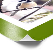 Oiseaux de Boston Photo Collage (Coin)