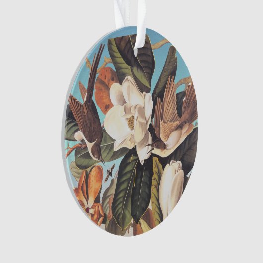 Oiseaux de cacao à bec noir Audubon (devant)