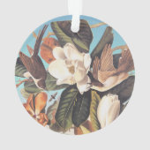 Oiseaux de cacao à bec noir Audubon (dos)