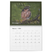Oiseaux de calendrier de la proie 2010 (Feb 2026)