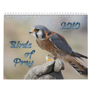 Oiseaux de calendrier de la proie 2010