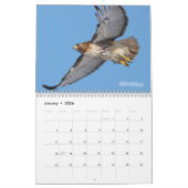 Oiseaux de calendrier de la proie 2010 (Jan 2026)