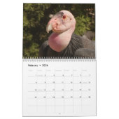 Oiseaux de calendrier de l'Amérique du Nord 2019 (Feb 2026)