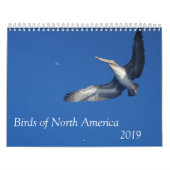 Oiseaux de calendrier de l'Amérique du Nord 2019 (Protection)
