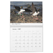 Oiseaux de calendrier de l'Ethiopie (Jan 2027)