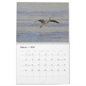 Oiseaux de calendrier du Cuba (Feb 2026)