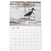 Oiseaux de calendrier du Cuba (Mar 2027)