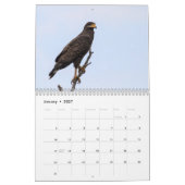 Oiseaux de calendrier du Cuba (Jan 2027)