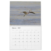 Oiseaux de calendrier du Cuba (Feb 2027)