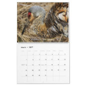 Oiseaux de calendrier mural de l'Ohio (Mar 2027)