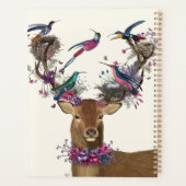 Oiseaux de cerfs, nids d'oiseaux tropicaux (Dos)