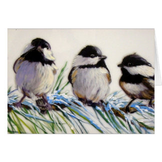 Oiseaux de chickadee de Caroline