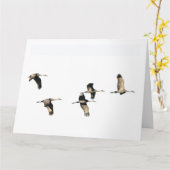 Oiseaux de grue de Sandhill pilotant la carte de (Fleur jaune)