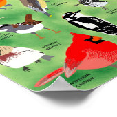 Oiseaux de jardin du Minnesota Affiche (Coin)