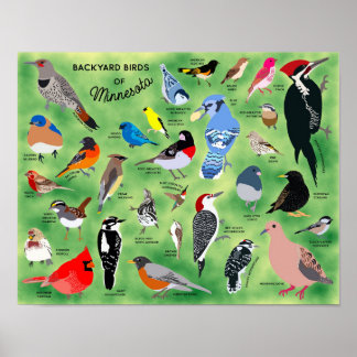 Oiseaux de jardin du Minnesota Affiche
