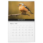 Oiseaux de la forêt de Dean 2021 Calendrier (Feb 2027)