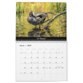 Oiseaux de la forêt de Dean 2021 Calendrier (Mar 2027)
