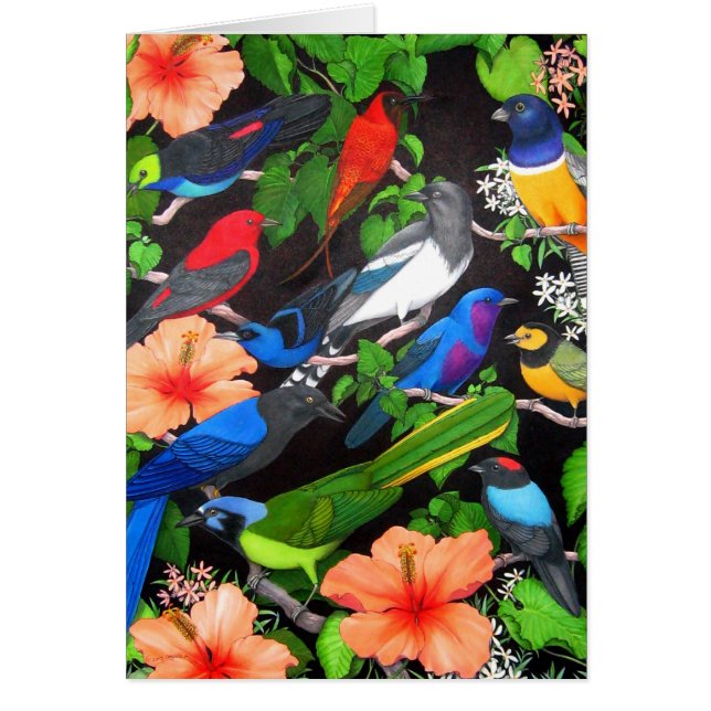 Oiseaux de la péninsule du Yucatan (Devant)