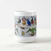 Oiseaux de la tasse de Yucatan (Centre)