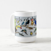 Oiseaux de la tasse de Yucatan (Devant gauche)