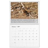 Oiseaux de l'Utah Calendrier 2027 (Feb 2027)