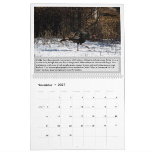 Oiseaux de l'Utah Calendrier 2027