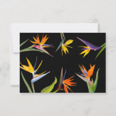 Oiseaux de paradis, Cartes RSVP Florales (Dos)