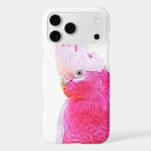 Oiseaux de perroquets lumineux