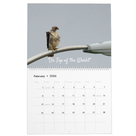 Oiseaux de Prey 2022 Calendrier des Quinze Mois (Feb 2026)