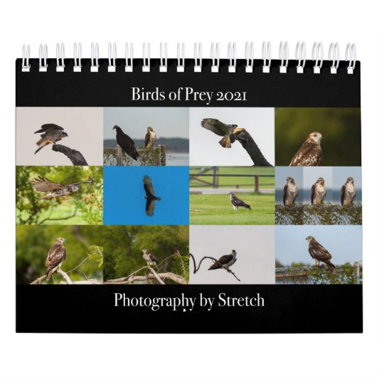 Oiseaux de proie - Petit calendrier de deux pages (Protection)