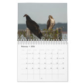 Oiseaux de proie - Petit calendrier de deux pages (Feb 2026)