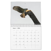 Oiseaux de proie - Petit calendrier de deux pages (Mar 2026)
