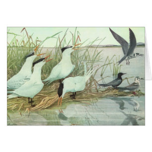 Oiseaux de rivage vintage dans un marais par Louis