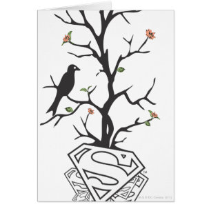 Oiseaux de Supergirl dans l'arbre