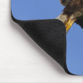 Oiseaux des tapis de souris de proie (Coin)