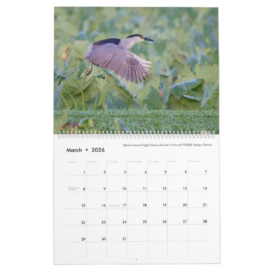 Oiseaux d'Hawaï - Calendrier 2023 (Mar 2026)